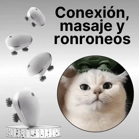 Kitty Masajeador